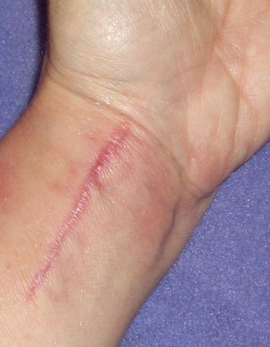 CIMG0987.jpg