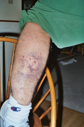 tenderized calf 01.jpg