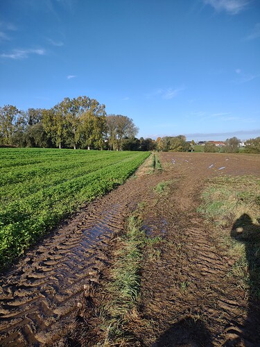 IMG_20211022_101457679