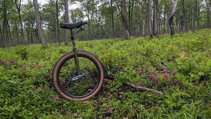 PXL_20240527_152145753