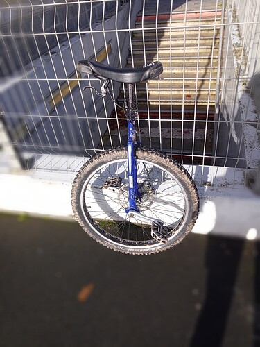 IMG_20221123_124626_4