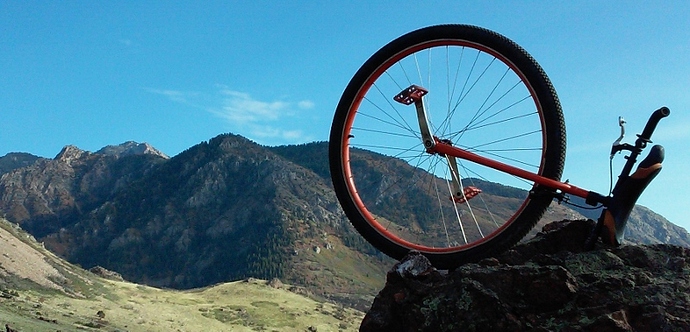 shoreline north (2) (800x385).jpg