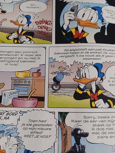 eenwielerindedonaldduck