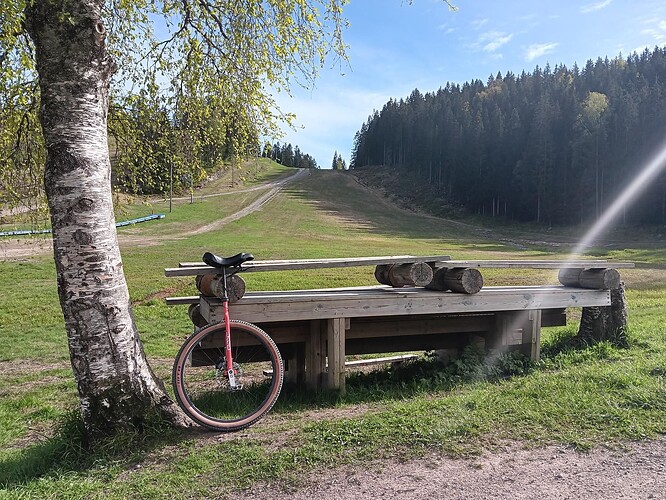 A view of a steep grassy hill, with a gravel trail coming down on the left. To the right are many pine trees. In the centre foreground of this scene is a set of wooden benches and tables stacked. Leaning against that is a large wheeled unicycle with a red frame, with tan coloured sidewalls to the tyre. To the left of this is a birch tree.
