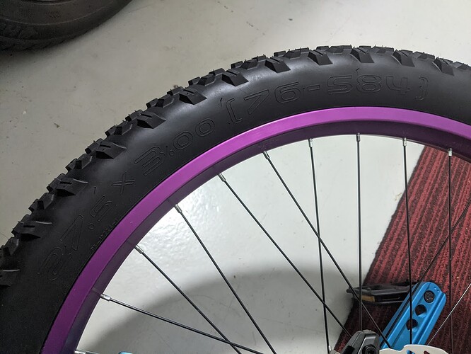 PXL_20220801_101606556