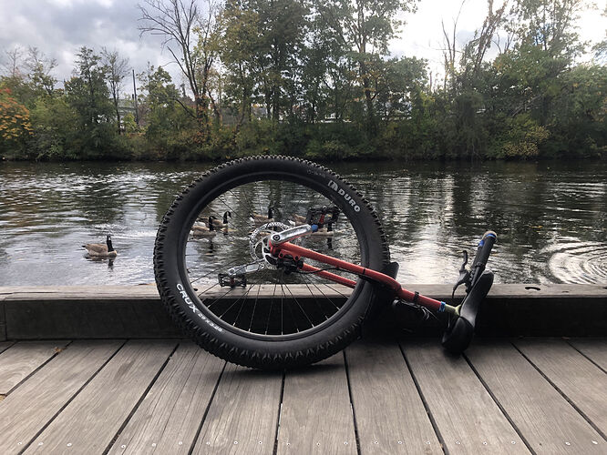 20211016_190224013_iOS