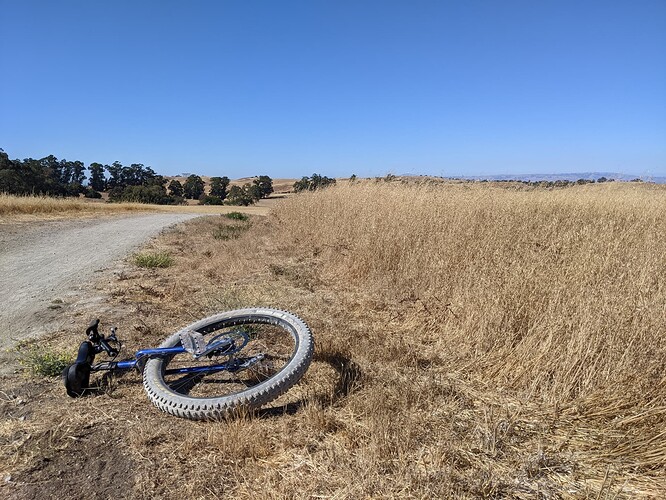 PXL_20220710_235250242