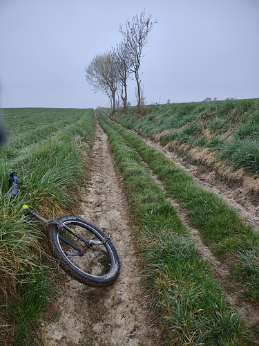 IMG_20220327_082937171