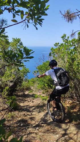 VID_20230615_112105_exported_4005