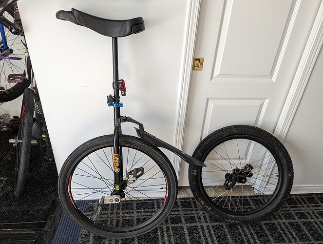 PXL_20230315_153521561