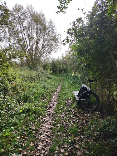 IMG_20211018_112751049