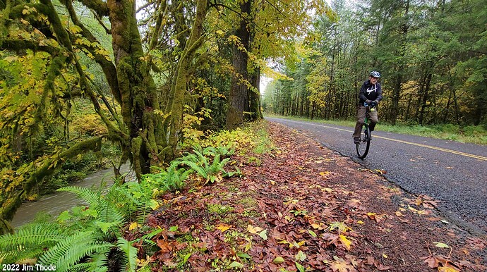 vlcsnap-2022-11-06-22h54m44s866a