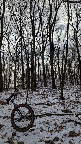 PXL_20251206_150017574