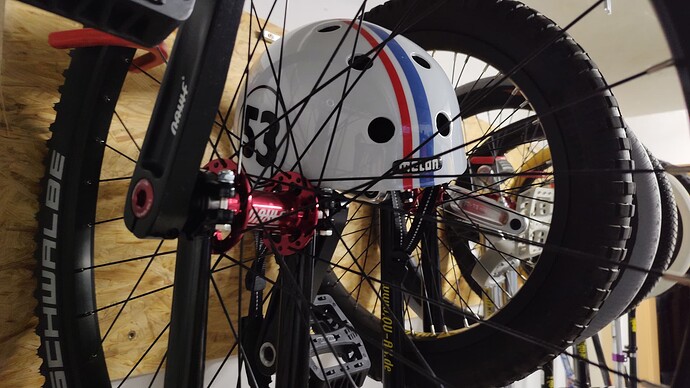 IMG_20241119_081237586