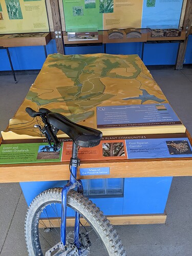 PXL_20220711_001335431