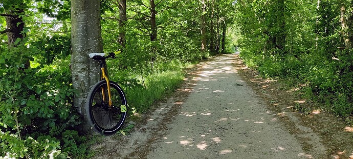 IMG_20230613_130514(1)