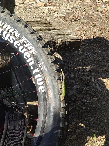 IMG_20230615_101034_1