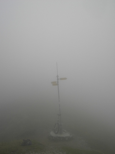 nebbia.jpg