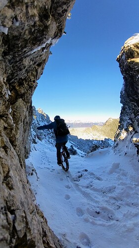 Snapshot_202311327_111100 (1)