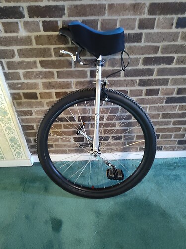 IMG_20250303_082243341