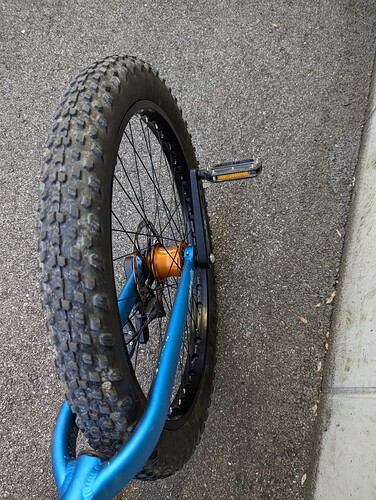 353556147_1230342694120312_3096965981791283234_n