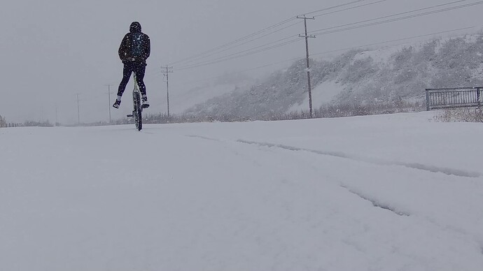 Spring storm one foot_Moment