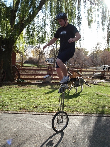 DSC01612 (600x800).jpg