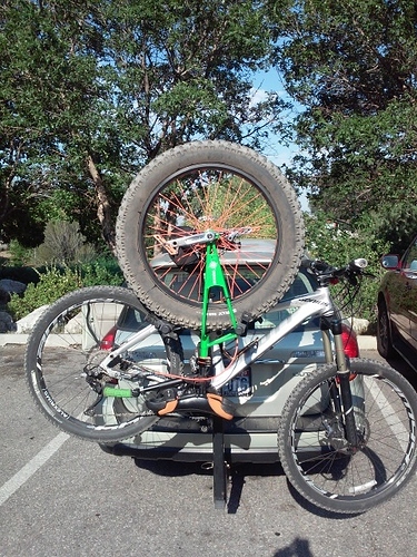 Nimbus oregon fat (480x640).jpg