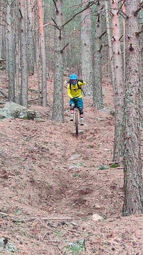 IMG_20241202_13305641