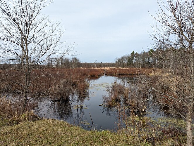 PXL_20221111_165051675