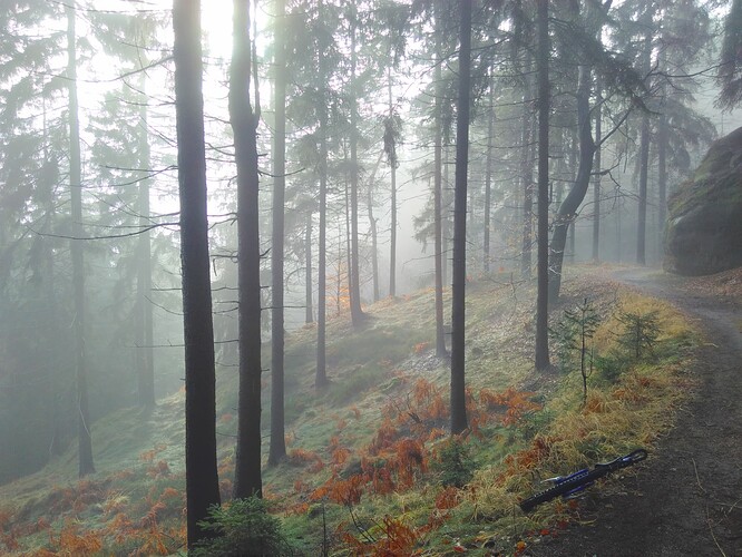 IMG_20211231_120323_HDR