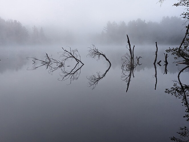 PXL_20230924_105016600