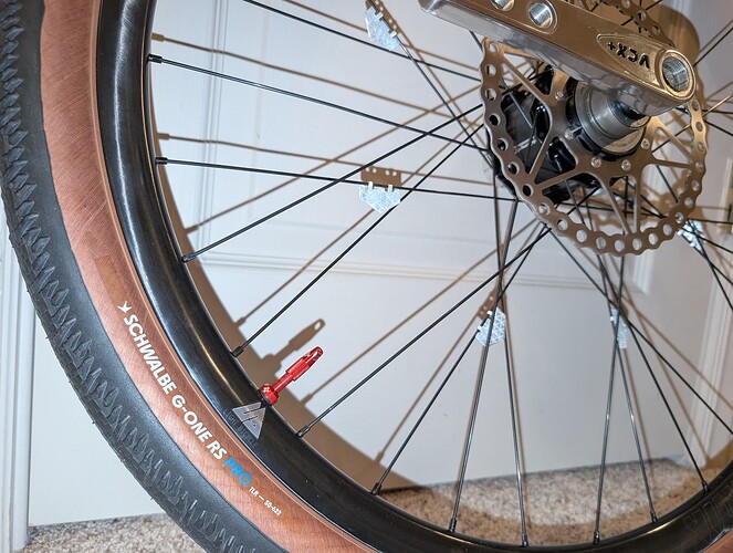 PXL_20250509_035921260