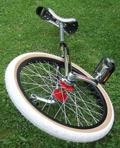 qu-ax_profi.jpg