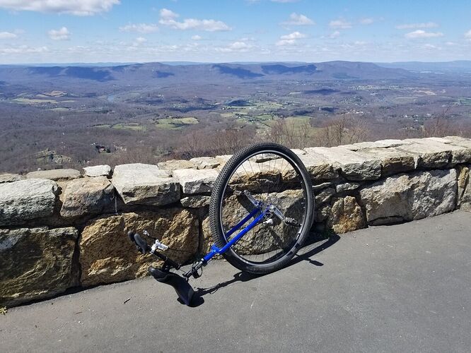 20210402_125919_resized