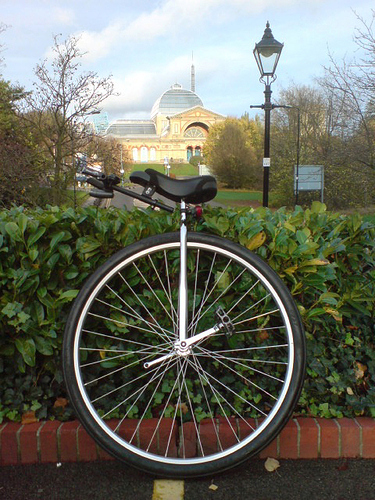 Unicycle Grove 1.11.09b.jpg