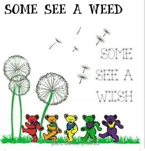 Screenshot_20240420-091939