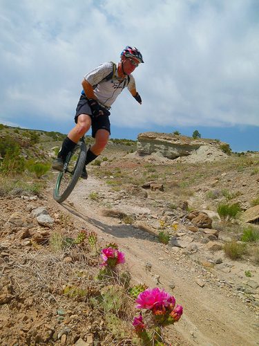 low res pics2013-06-03.JPG