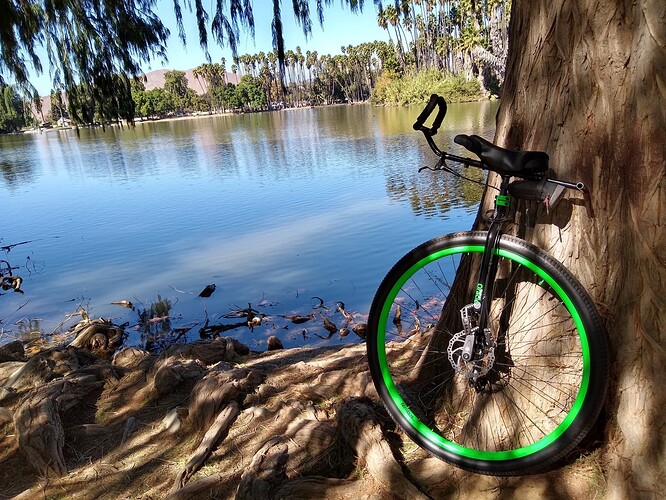 chris-coolski-unicycle-tree-pick