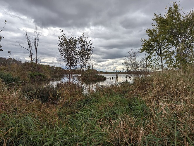 PXL_20231014_185529282