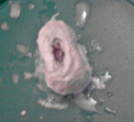wax with plaster.jpg
