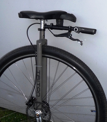 P1110430-crop.jpg