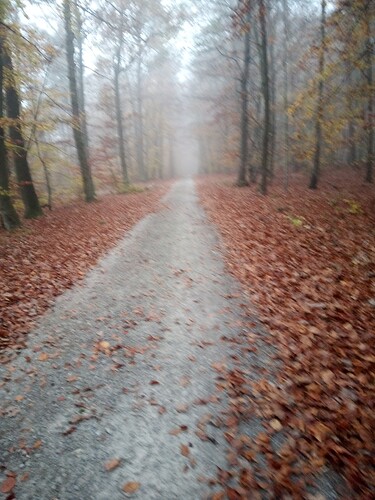 IMG_20241110_160133_065