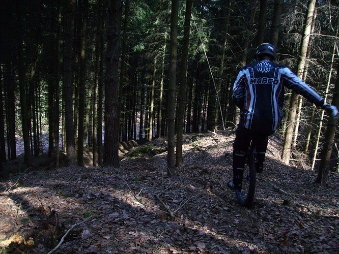 bearbeitet_PICT0039.jpg