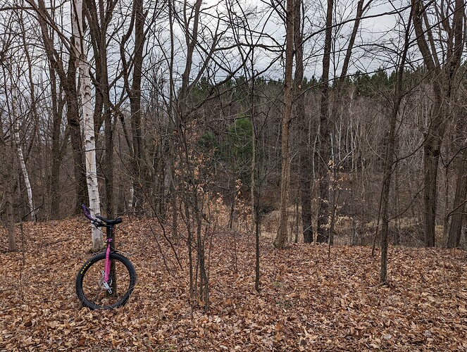 PXL_20221111_155143828