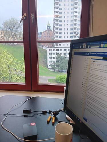 Looking out my windows