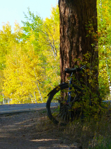 ride pics2012-09-21_2.JPG