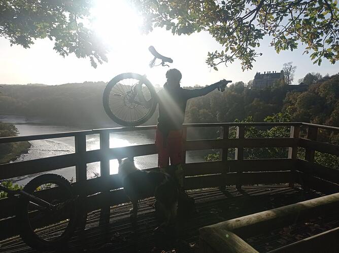 signal-2022-11-23-15-58-39-346