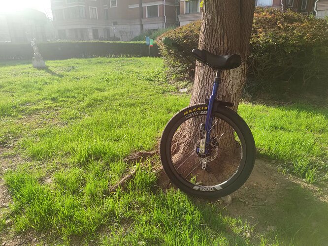 mmexport1678419543838