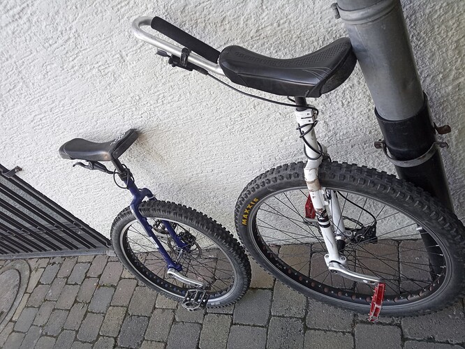 IMG_20220716_181921_2